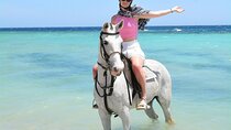 Horseback Riding Adventure and Port Ghalib Shopping in Marsa Alam