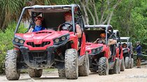 Jungle Buggy Day Tour