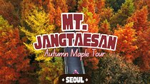 Jangtaesan Recreational Forest Autumn Foliage Day Tour from Seoul