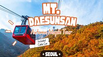 Daedunsan Provincial Park Autumn Foliage Day Tour from Seoul