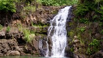 Private North Shore Oahu Tour ft. Waimea Falls-Customizable