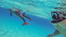 Dolphin House Full Day snorkeling, water sports, lunch -Hurghada 