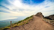 Vesuvio Skip-the- Line Ticket and Guidebook