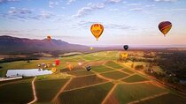 Hunter Valley Day Tour