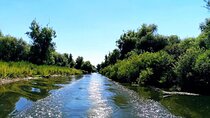 PREMIUM TOUR small group: Wild Danube Boat Day Trip in the Delta