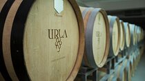 Private Urla Wine and Olive Oil Tour from Izmir