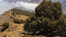 High Atlas Tasghimot Summit Hike and Imlil Valley from Marrakech