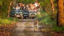 Kathmandu: 3 Days Chitwan Jungle Safari Private Tour