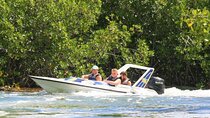 Speedboat Adventure and Snorkeling with transportation in Cancun