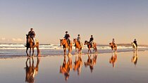 Beach Horse Ride - Hotel Pickup & drop-off included. CAPE TOWN