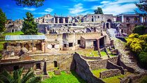 From Naples: Pompeii Shore Excursion - Guided Tour & Ticket