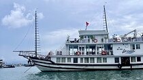Bai Tu Long Bay 2 Days 1 Night With Renea Cruise