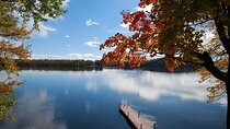 Lake Muskoka and Algonquin Small Group 1-Day Tour From Toronto