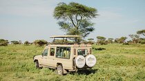 Private 4-Day Wildlife Encounter in Tanzania