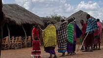 Live Like a Maasai: 2-Day Cultural & Wildlife Immersion