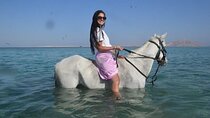 Two-Hour Horseback Ride Along the Sea with Transfer - Hurghada