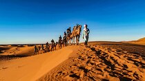 Luxury Private 3 days Tour From Marrakech to Merzouga 