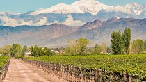  4-Day Mendoza: Wine, Cuisine & Andes Majesty