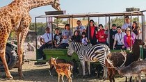 Safari Park Full Day Experience 