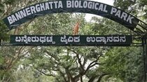 From Bangalore Bannerghatta Park and City Sights Private Tour