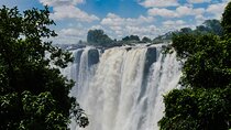 Luxury Safari of Victoria Falls to Kruger Park and Cape Town