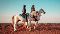Doha Horseback Riding Adventure in Desert with Transfers