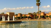 Taroudant Half Day : Medina+ Souks & Walls & Goats in argan Trees