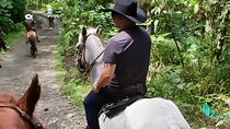 Horseback riding near Medellin, typical lunch and private transportation
