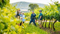 Hunter Valley Wine Tasting Tour from Sydney