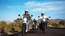 Guided Electric Motorbike Tour inside Joshua Tree National Park