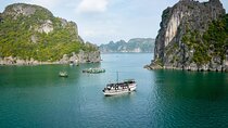 From Hanoi: 2-Day Boutique Cruise Through Bai Tu Long’s Beauty