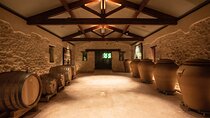 Guided tour & tasting Wine art and biodynamics