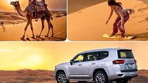 Desert Safari, Quad Bike, Dune buggy, Sand-boarding & CamelRide