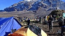 9-Day Northern Circuit Kilimanjaro Climb with Expert Guides