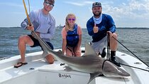 Shark Fishing Charter