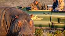 2-Day Luxury Safari from Cape Town to Gondwana Game Reserve