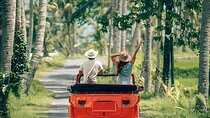 Clasi car VW Ubud Tour 