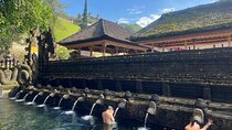 Ubud Private Nature and Temple Tour