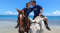 Blue Hole, Horseride with Swim and Bamboo Rafting Ocho Rios