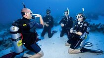 Begin Your Diving Journey & the PADI Open Water Course – Hurghada