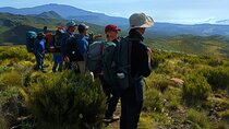 Mt. Kenya Expedition Private 4-Day Multi-day Tours