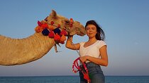 2-Hour Camel Ride Adventure Desert & Sea with Transfers –Hurghada