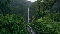 Akaka Falls Tour - Volcanoes National Park and Hilo Discovery
