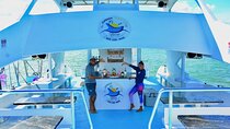 Sand-Bar Punta Cana Party Boat unlimited drinks, snorkeling Vibes