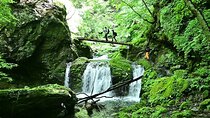 Hiking Adventure to Mt. Kawanori, into Tokyo’s Wilderness