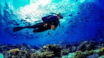 Certified Scuba Diving Training in Butterfly Valley