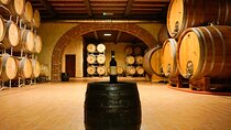 From the Cluster to the Chalice : A Journey into the Heart of Wine in Bardolino