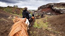 Red Lava Horse Riding Tour From Reykjavik