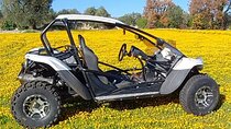 Buggy and Quad and Side-by-Side Excursions
