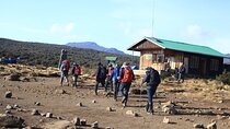 Kilimanjaro 7 Day Private Tour with Meals